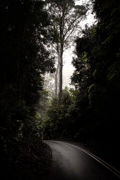 driving down the winding roads in jervis bay