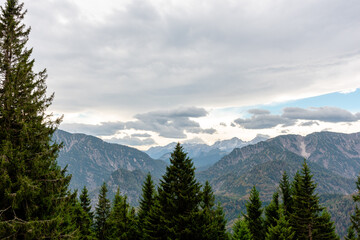 A pine forest and mountains landscape, cloudy sky in the Alps
