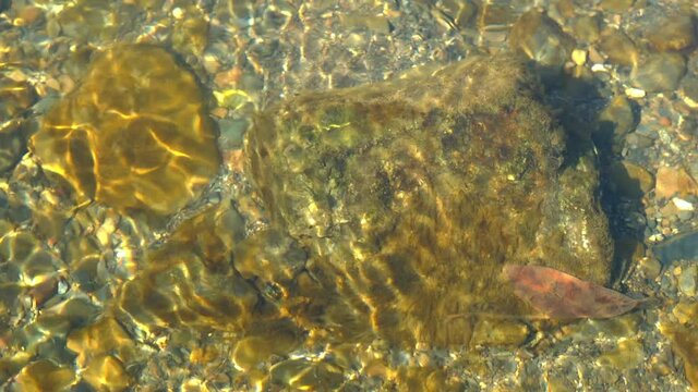 Water dancing over rock in Parsons Creek