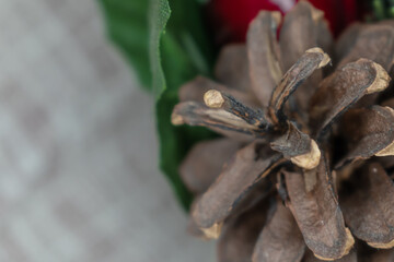 Christmas background. Spruce cone close-up. Christmas plants..