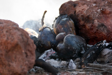 Eggplants roasted on charcoal embers between stones left from a camp fire in the nature