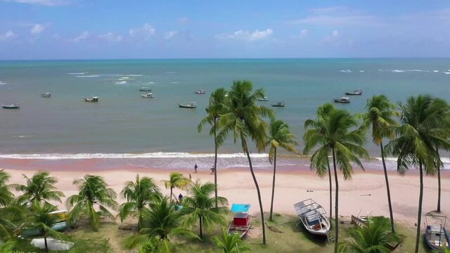 Parasidiaca beach of Guarajuba, in Bahia - Brazil. Beautiful beach with coconut trees in the wind, fishing boats and blue sky.