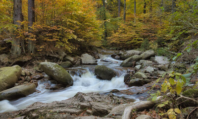 Der Fluss Ilse im Nationalpark Harz im Herbst, Deutschland