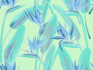 Fototapeta na wymiar Bird of paradise tropical flower vector fashion print seamless pattern.