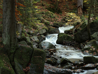 Der Fluss Ilse im Nationalpark Harz im Herbst, Deutschland