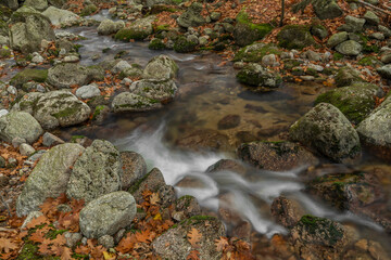 Fototapeta na wymiar Velky Cerny Stolpich creek in autumn fresh morning in Jizerske mountains