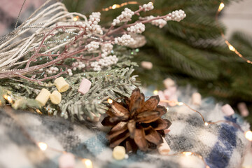 christmas morning holiday concept. Flat lay. winter decor marshmalloy, light garlands and cinnamon, cones