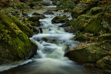 Fototapeta na wymiar Der Fluss Ilse im Nationalpark Harz im Herbst, Deutschland