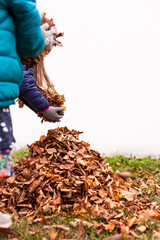 Little kids playing with autumn leaves outdoors. Autumn mood. Herbstliche Stimmung. Kleine Kinder...