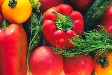Background from juicy ripe and tasty vegetables. Yellow and red tomatoes, red bell peppers, arugula, lettuce, cucumbers.