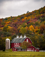 Vertical shot of a large barn near a hill with colorful autumn trees © Cameron Venti/Wirestock