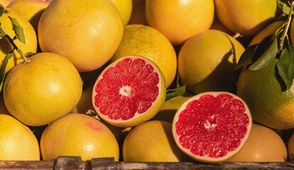 Cut red grapefruit on bunch of fresh grapefruits.