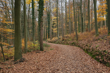 Herbstlandschaften