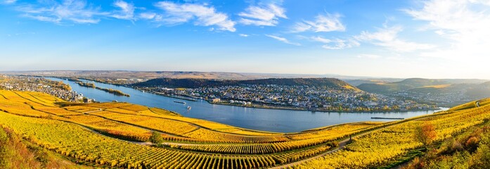 Rudesheim am Rhein in Autumn. Hesse, Germany - obrazy, fototapety, plakaty