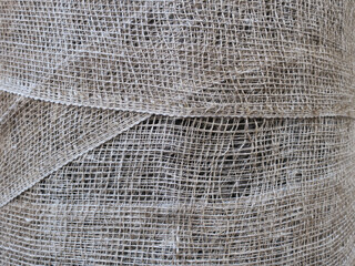 Fototapeta premium tree wrapped in jute to protect its stem