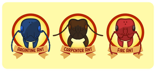 Three Types of Ants - Argentine, Carpenter, Fire - Vector Illustration