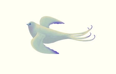 Fototapeta premium Cute White bird isolated on a white background. hand-drawn an illustration. animal character, painting artwork