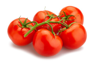 tomato branch path isolated on white