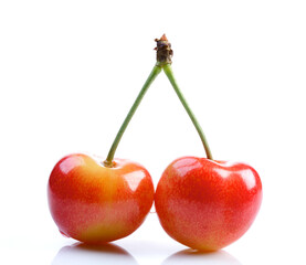 Studio shot of cherries on white background