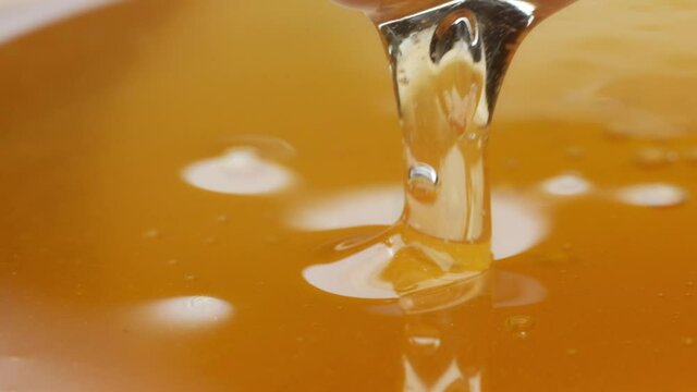 Plate of honey with a wooden stick. close up