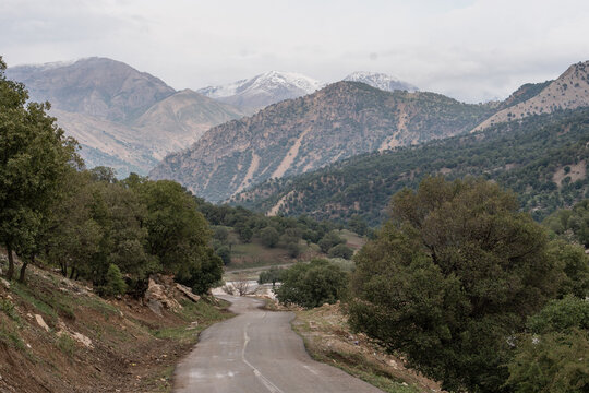 Forested valley in the Zagros Mountains, Iran