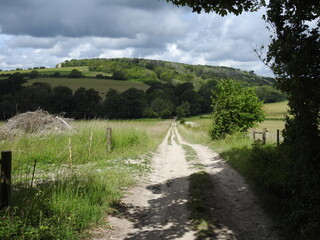 Obraz premium The dirt road goes down, fields, trees