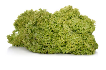 Obraz premium Close-up of green lettuce