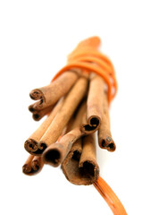 Tied Bunch of cinnamon Sticks