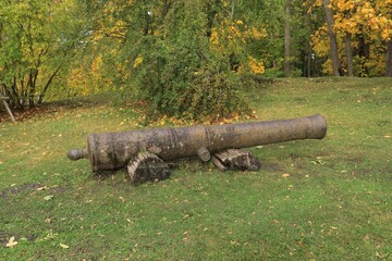 Very old cannon barrel on the green edge of the autumn forest