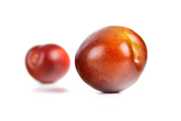 Obraz premium Plums