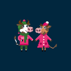 Cow pixel art on white background. Pixel cows in cute suits. Symbol of 2021.