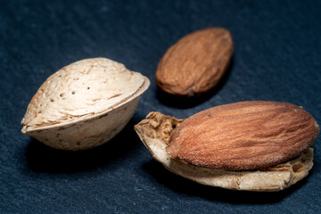 Close-up of three isolated almonds : one in its shell, one with open shell, one without shell. nuts are on a slate table with dark background. Minimalist shot with copy space for text