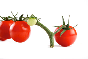 Tomato