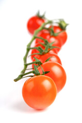 Tomato