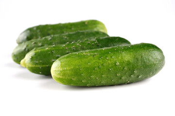 Cucumber