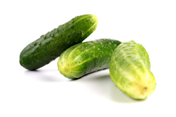 Cucumber