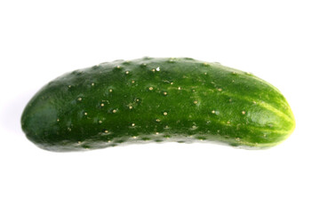 Cucumber