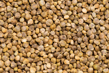 Spinach seeds heap for germination background for desing