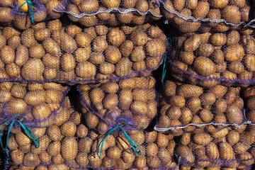 Pile of Mesh Sacks with Fresh Potatoes