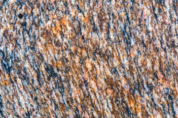 Sea stone texture. Panel texture. Background fill. Natural stone background.