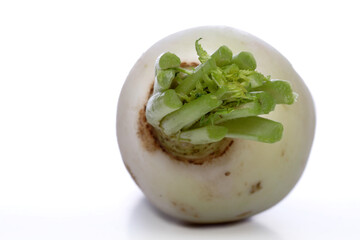 Studio shot of kohlrabi on white background