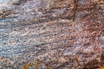 Sea stone texture. Panel texture. Background fill. Natural stone background.