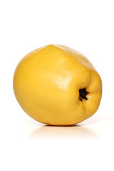 Studio shot of quince on white background