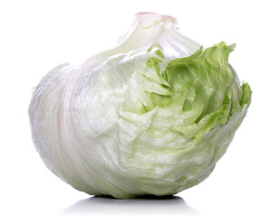Studio shot of cabbage on white bacground