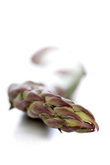 Studio shot of asparagus on white background