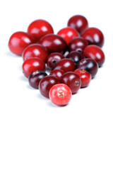 Cranberries