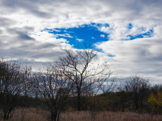 Late autumn scenic view: A bare, leafless tree on a late fall day with a mostly cloudy sky in the background except for one whole in the clouds revealing a bright blue sky natural landscape view