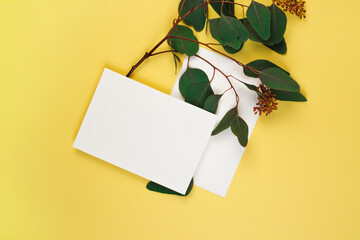 Card, eucalyptus. Top view, copy space, mockup. Greeting card template above on Illuminating yellow background