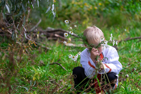 Little boy in old Russian clothes collects daisies in the forest