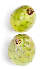 Opuntia ficus indica